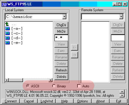 ASCII-inställning i WS_FTP95